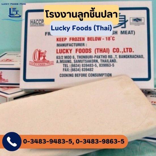 Surimi (เนื้อปลาบด) - โรงงานลูกชิ้นปลา - ลักกี้ฟู้ดส์ (ไทย)